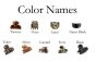 Color Names